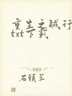 重生之贼行天下txt下载