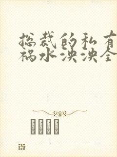 总裁的私有宝贝祸水泱泱全文阅读