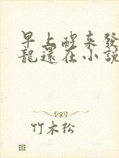 早上醒来发现巨龙还在小说