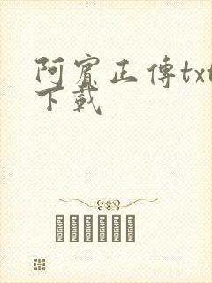 阿宾正传txt下载