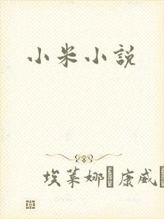 小米小说