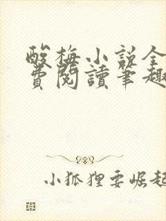 酸梅小说全文免费阅读笔趣阁