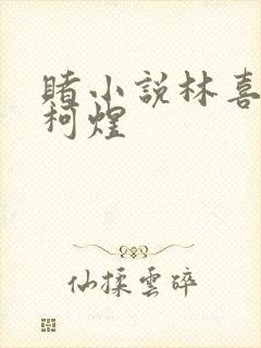 赌小说林喜朝和柯煜