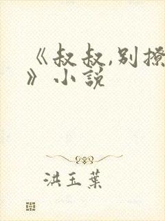 《叔叔,别撩我》小说