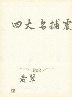 四大名捕震关东