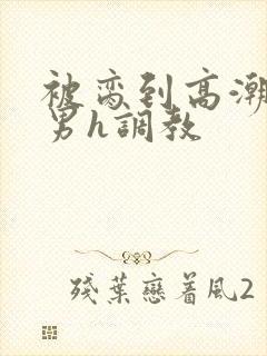 被脔到高潮的直男h调教