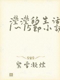 滢滢的生活日记1～15节小说