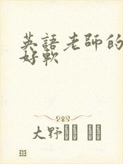 英语老师的兔子好软