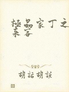 极品家丁之远方来客