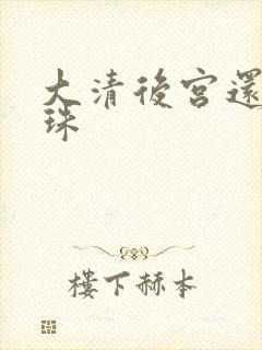 大清后宫还君明珠