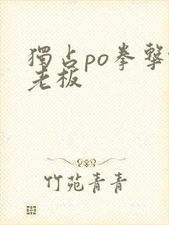 独占po拳击馆老板