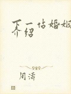 下一站婚姻剧情介绍