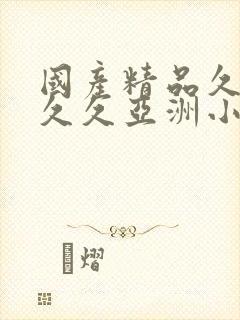 国产精品久久久久久亚洲小说