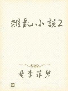 杂乱小说2