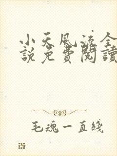 小天风流全集小说免费阅读