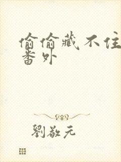 偷偷藏不住新婚番外