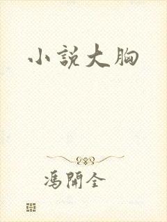 小说大胸