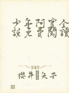 少年阿宾全文小说免费阅读笔趣阁