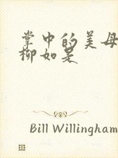 掌中的美母版主柳如是