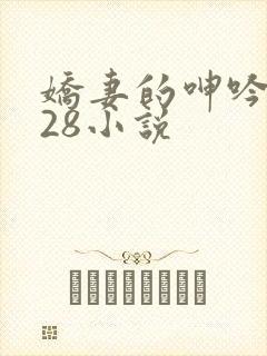娇妻的呻吟1—28小说