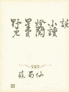 野星灯小说全文免费阅读