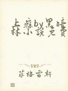 上瘾by黑暗森林小说免费