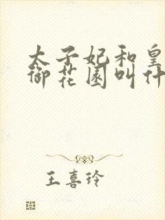 太子妃和皇帝在御花园叫什么小说