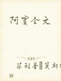 阿宾全文