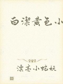 白洁黄色小说