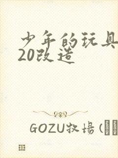 少年的玩具1一20改造