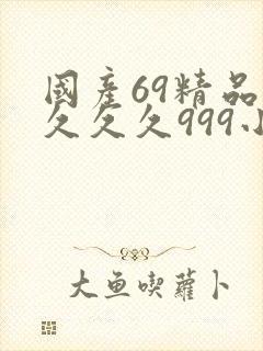 国产69精品久久久久999小说