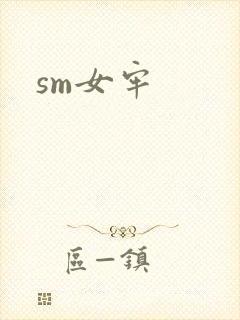 sm女牢