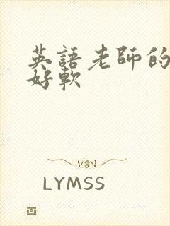 英语老师的兔子好软