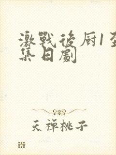 激战后厨1至5集日剧