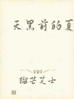 天黑前的夏天