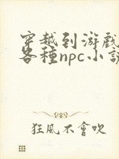 穿越到游戏里和各种npc小说