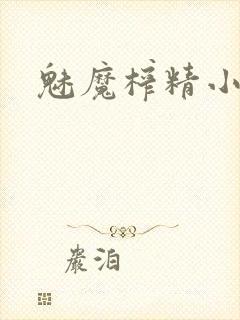 魅魔榨精小说