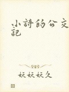 小诗的公交车日记