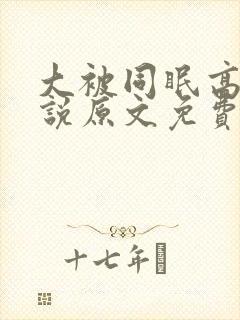 大被同眠高粱小说原文免费阅读