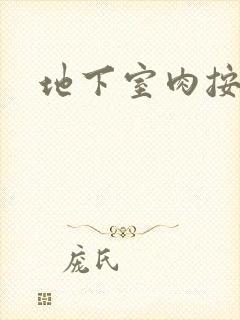 地下室肉按摩椅