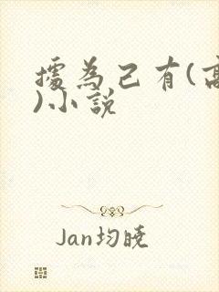 据为己有(高干)小说