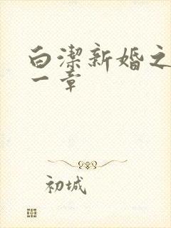 白洁新婚之夜第一章