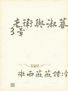 老卫与淑蓉第13章