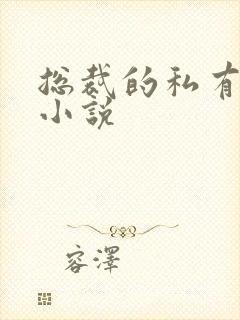 总裁的私有宝贝小说