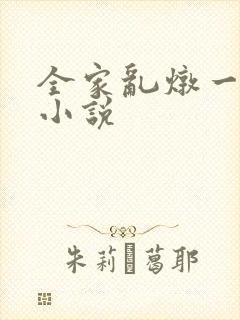 全家乱炖一锅烩小说