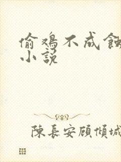 偷鸡不成蚀把米小说