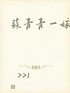 苏青青一嫁三夫