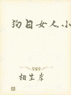 狗日女人小说