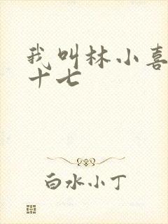 我叫林小喜今年十七