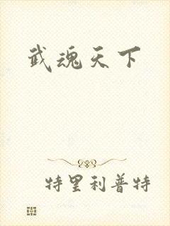 武魂天下